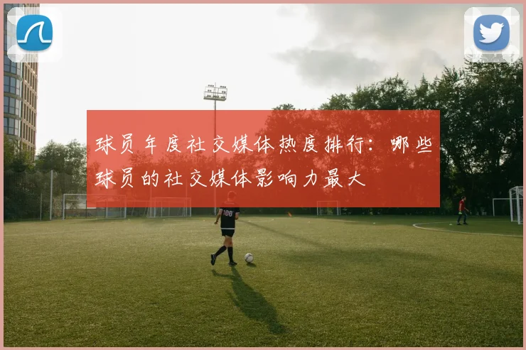 球员年度社交媒体热度排行：哪些球员的社交媒体影响力最大